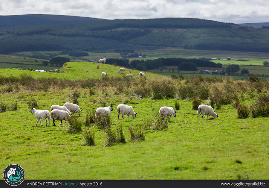 Diario di viaggio fotografico in Irlanda, Agosto 2016