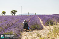 Diario di viaggio fotografico in Provenza, luglio 2015