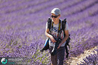 Diario di viaggio fotografico in Provenza, luglio 2015.