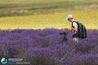 Diario di viaggio fotografico in Provenza, luglio 2015.