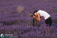 Diario di viaggio fotografico in Provenza, luglio 2015.