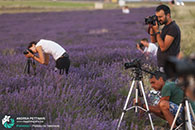 Diario di viaggio fotografico in Provenza, luglio 2015.