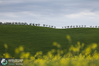 Workshop fotografia val d'orcia 2015