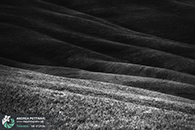 Workshop fotografia val d'orcia 2015