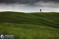 Workshop fotografia val d'orcia 2015