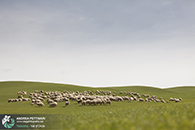 Workshop fotografia val d'orcia 2015