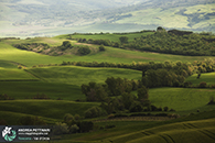 Workshop fotografia val d'orcia 2015