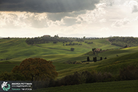 Workshop fotografia val d'orcia 2015