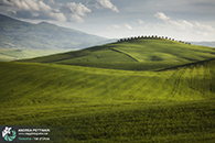 Workshop fotografia val d'orcia 2015