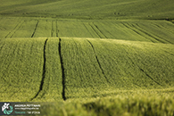 Workshop fotografia val d'orcia 2015