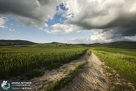 Workshop fotografia val d'orcia 2015