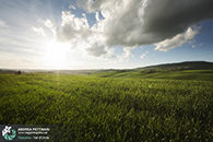 Workshop fotografia val d'orcia 2015