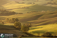 Workshop fotografia val d'orcia 2015