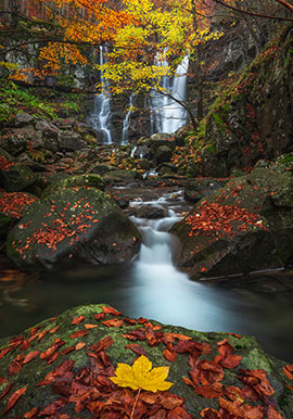 Viaggi fotografici in autunno