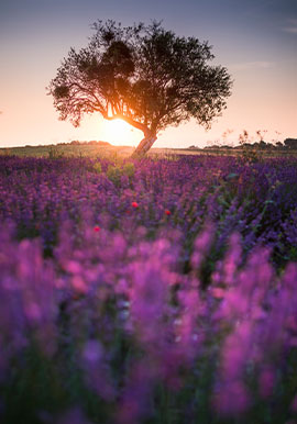 Viaggi fotografici in estate