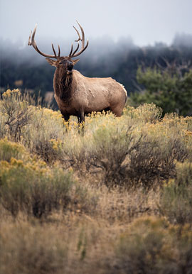 viaggi per fotografare natura e wildlife