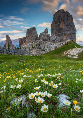 Viaggi fotografici in primavera
