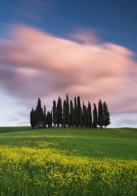 Viaggi e workshop in italia