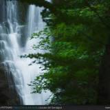 Acqua e vegetazione