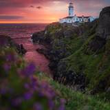 Alba rosa a Fanad Head