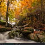 Autunno alle Cascate del Dardagna, Parco Corno alle Scale.