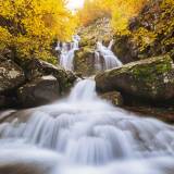Autunno dorato alle Cascate del Dardagna