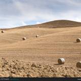 Balle di fieno e colline