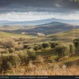 Colline e Radicofani