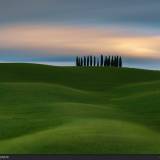 Cypress Hill - Fosso triboli, val d'Orcia.