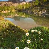 Fioritura al Lago Limides