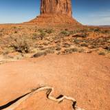 Forme alla Monument Valley