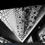 Harpa