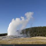 Old Faithful