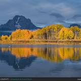 Oxbow Bend