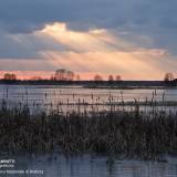 Foto spettacolare del tramonto roseo al Parco Nazionale di Biebrza, Polonia