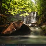 In mezzo al fiume