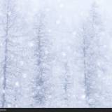 In The Snow: texture dal Gran Paradiso