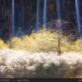 Luce e ombra a Plitvice.