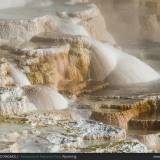 Mammoth Hot Springs