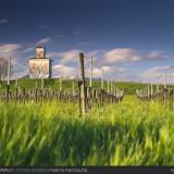 Perlustrazione in Franciacorta.