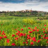 Pienza e papaveri