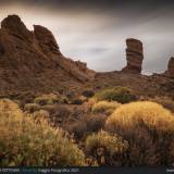 Roques de Garcia