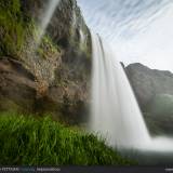 Seljalandsfoss ed erba