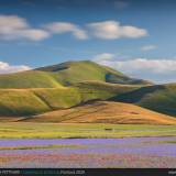 Tra cielo e fiori