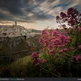 Tramonto Fiorito Matera