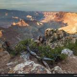 Ultime luci al Grand Canyon