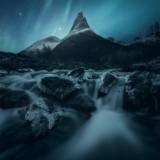 Un filo di verde nella notte polare