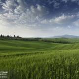 Verdi colline in Val d'Orcia