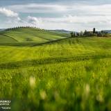 Le verdi colline della val d'Orcia.