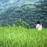 Vietnam - Giovane coltivatrice di riso nelle montagne intorno a Sapa.